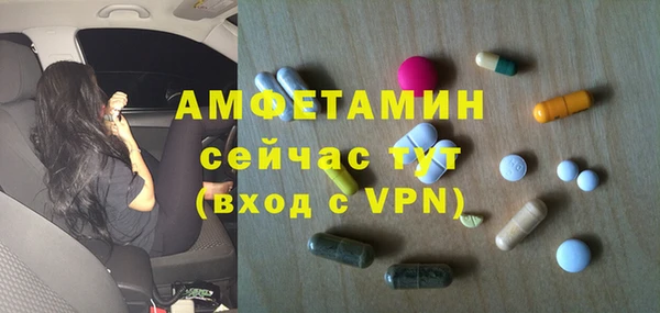 сатива Абаза
