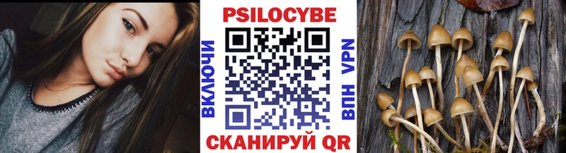 Псилоцибиновые грибы прущие грибы  купить   Слюдянка 